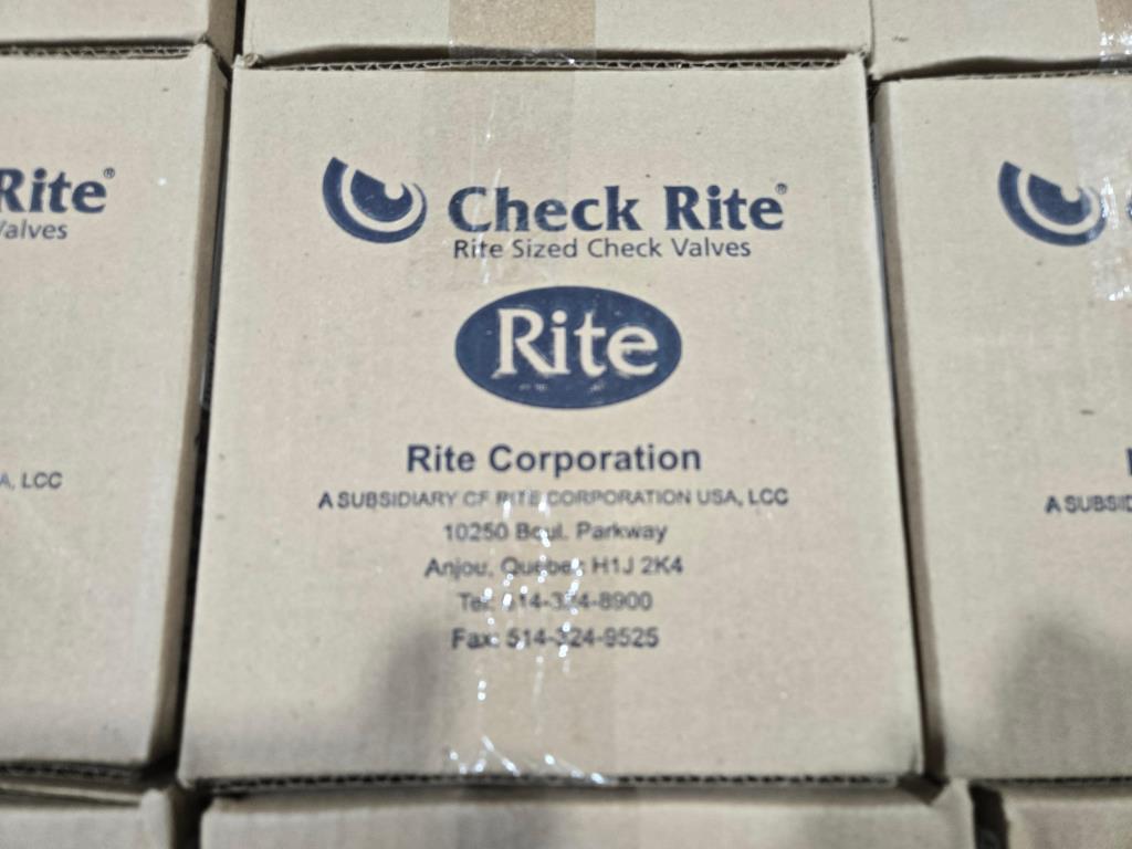 4" Check Valve (New / Unused), Bray Rite V0412CMZ 125# PG# 0050