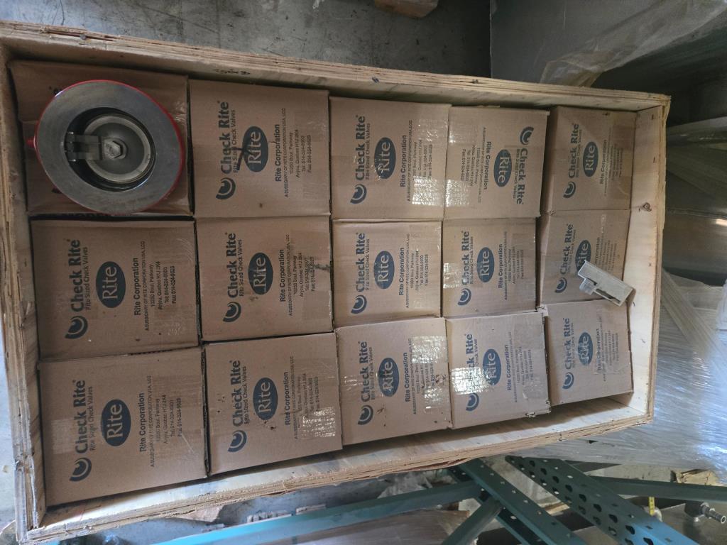 4" Check Valve (New / Unused), Bray Rite V0412CMZ 125# PG# 0050