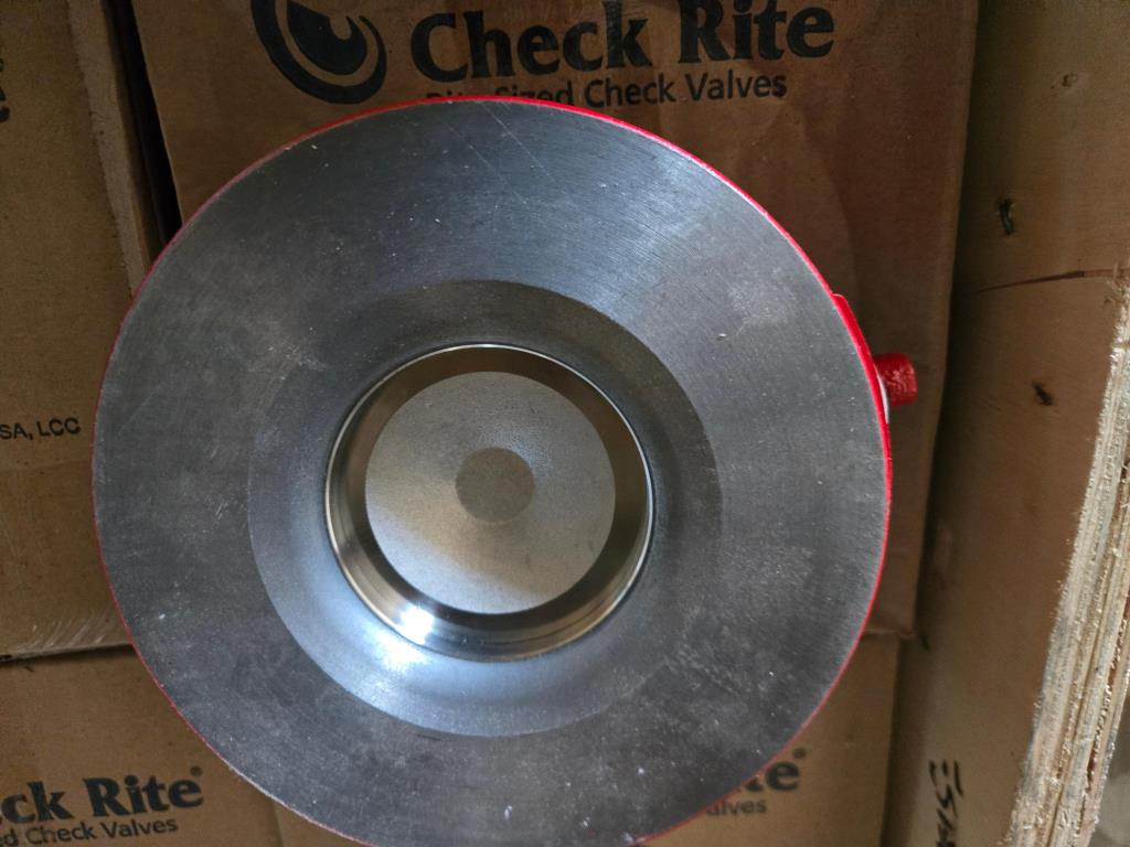4" Check Valve (New / Unused), Bray Rite V0412CMZ 125# PG# 0050